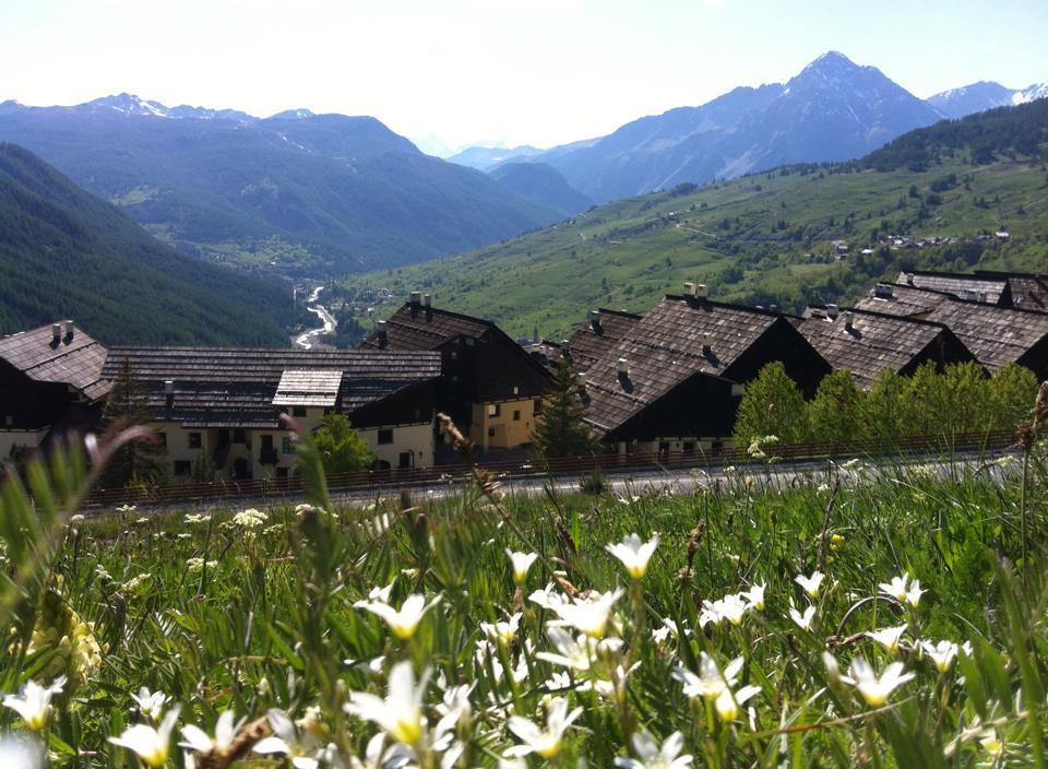 La Grange Apartment Sauze di Cesana Bagian luar foto